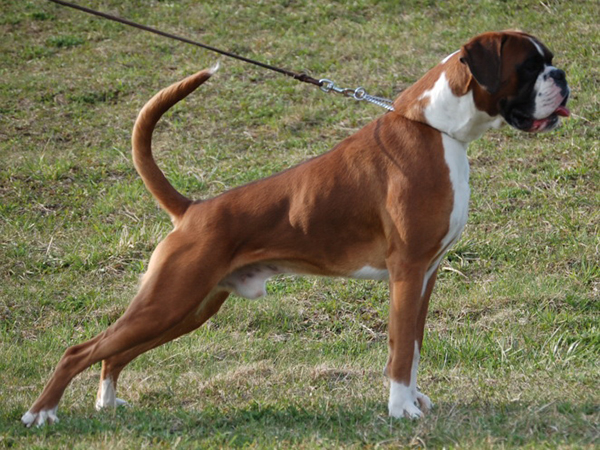 Otec Brazil Otec Brazil