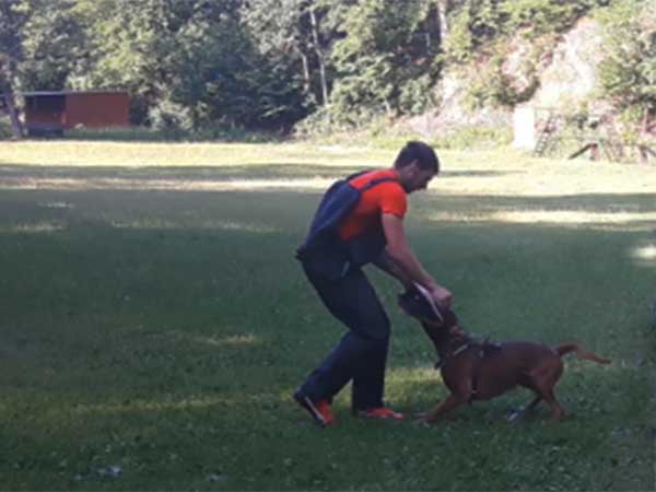 Fotografie z roku 2017