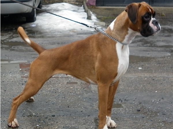 Matka Ugilia Matka Ugilia